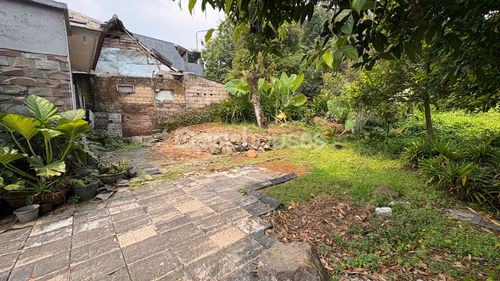 image thumbnail