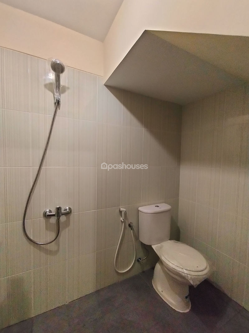 Pinus 88 Residence Type Corona
