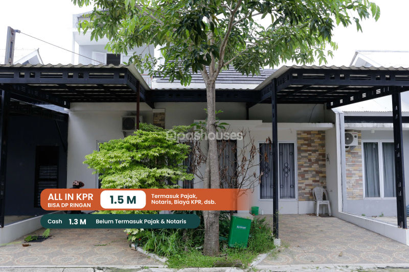 Sentul Alaya Cadenza