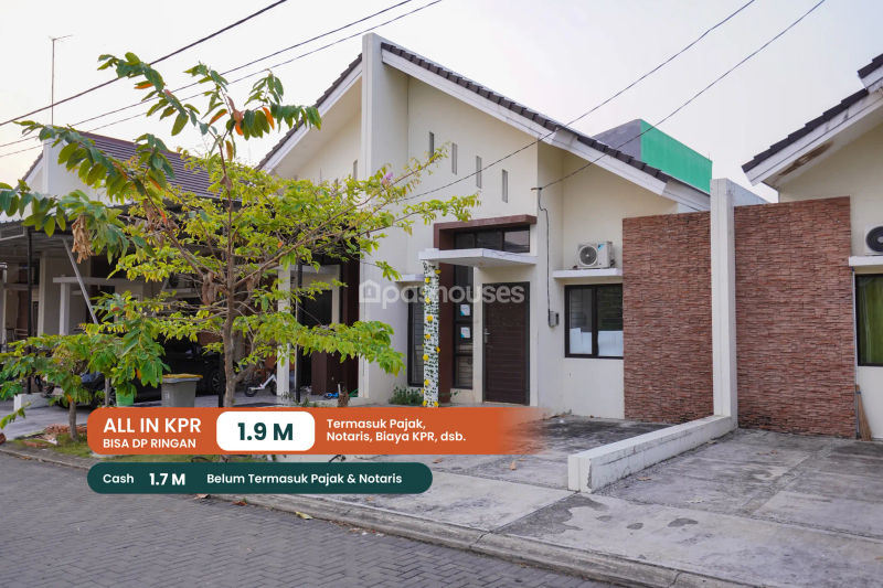 Green Ara Cluster Ebony