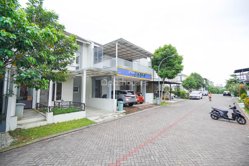 Pakuan Hill Cluster Bismarckia