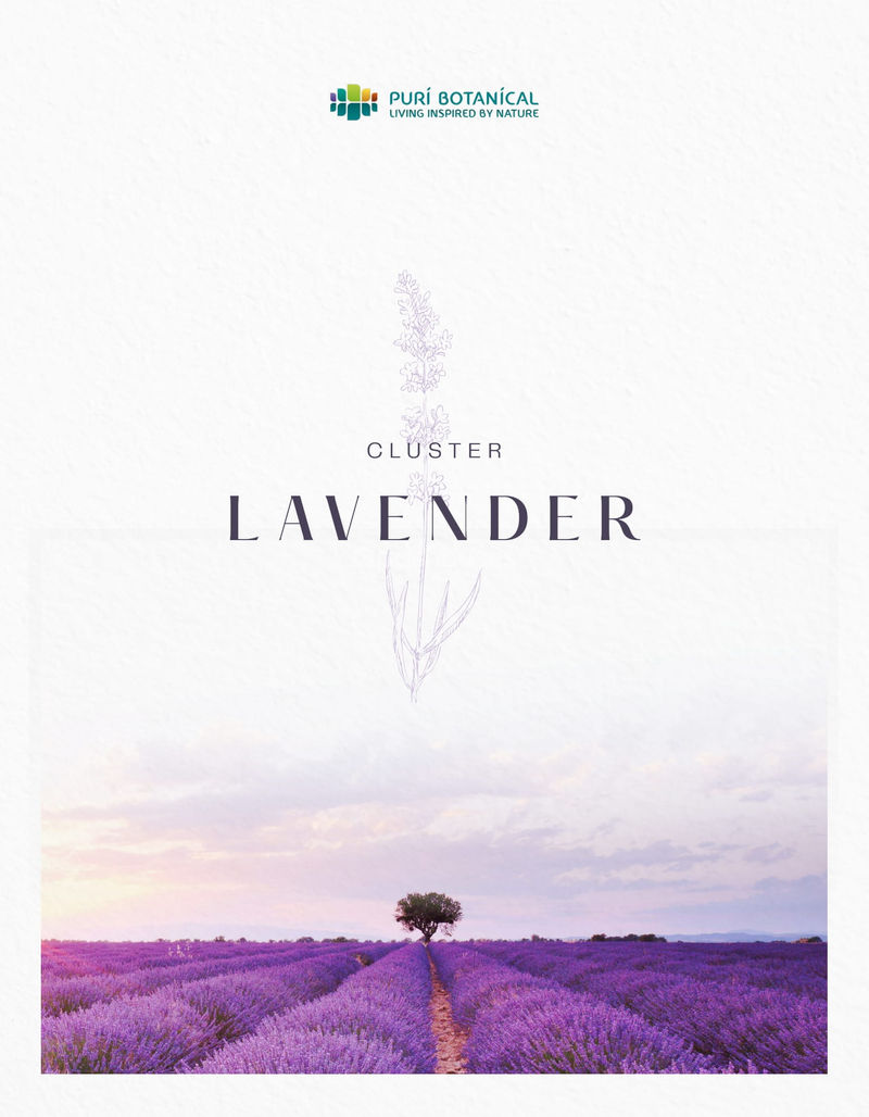 Puri Botanical Cluster Lavender