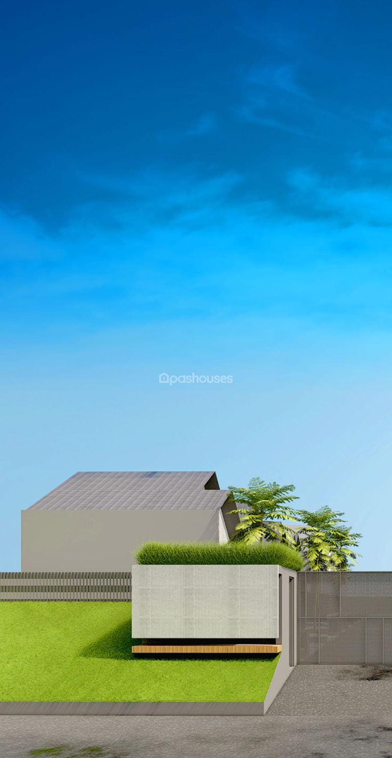 Golden Palm Premier