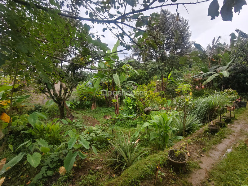 Jalan Arjuna Bogor