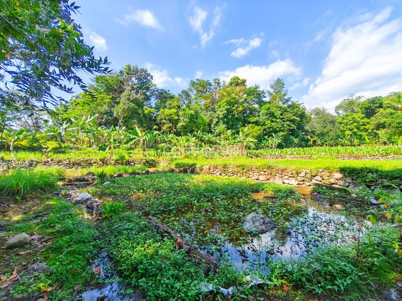 Jalan Kampung Batu Gede No.2 Bogor