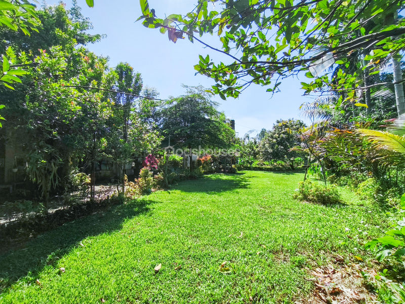 Jalan Kampung Pajeleran Cibinong