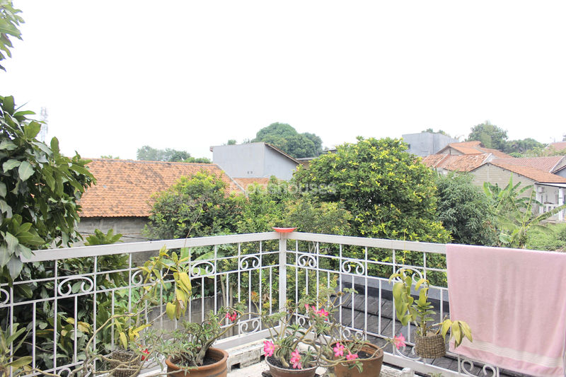 Serpong Park Cluster Fluorite