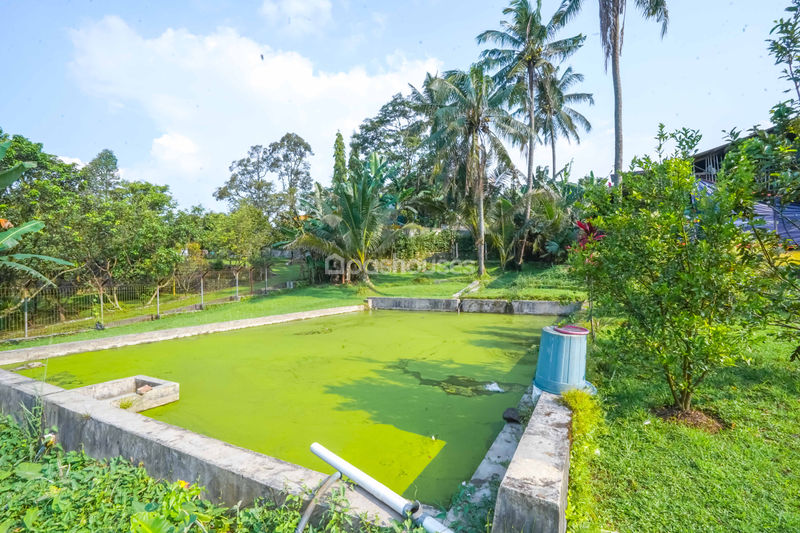 Villa Cihideung Bogor