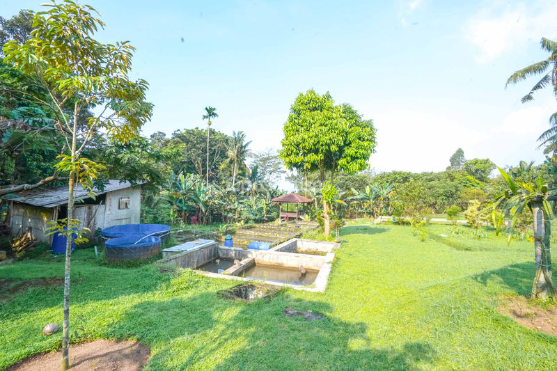 Villa Cihideung Bogor