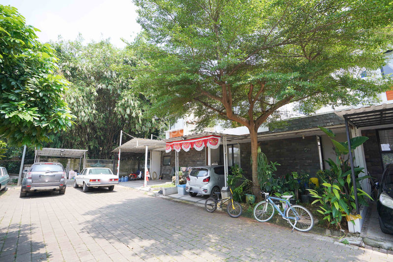 The Akasia Terrace