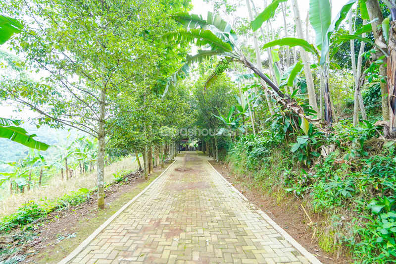 Villa Saung Ibu Bogor