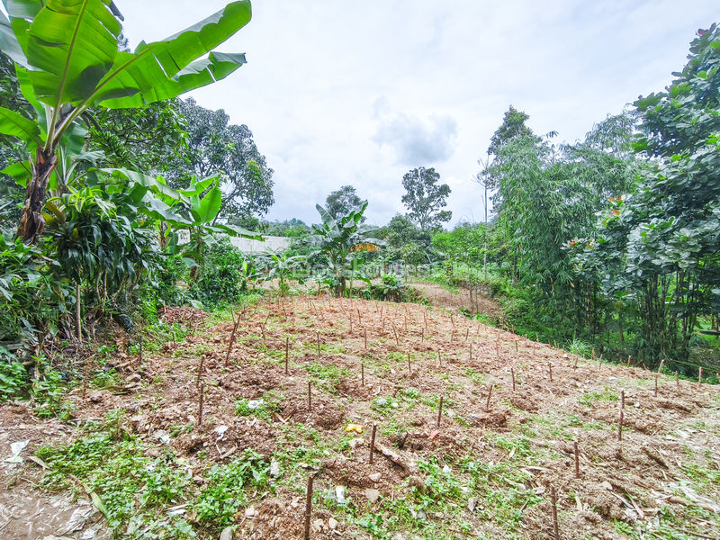 Jalan Raya Bojong Koneng