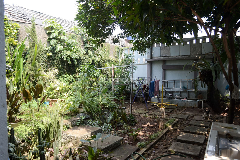 Jalan Mandor Gedad 