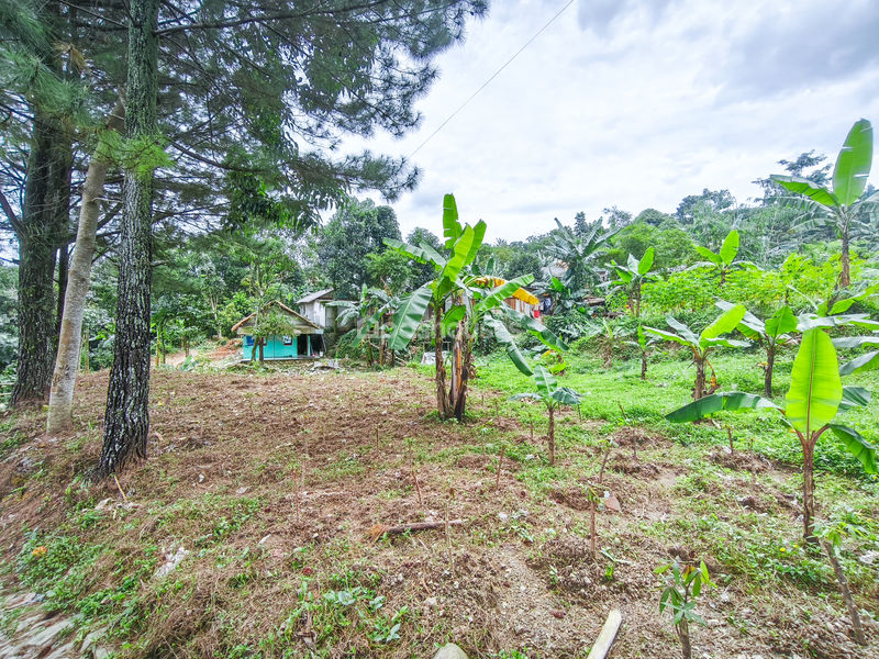 Jalan Raya Bojong Koneng