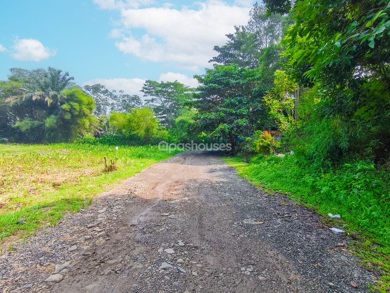 Jalan Cempaka Cihideung Ilir Bogor