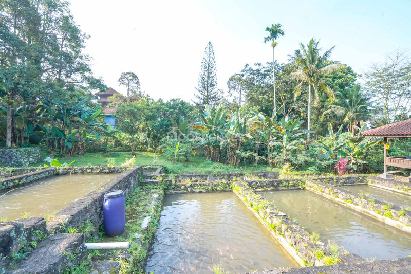 Villa Cihideung Bogor