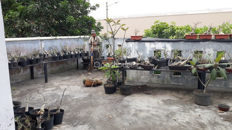 Pamulang Permai 1