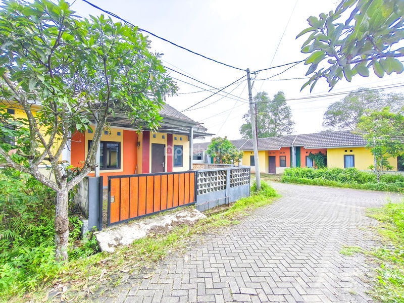 Cluster Kalimaya 2 Maja