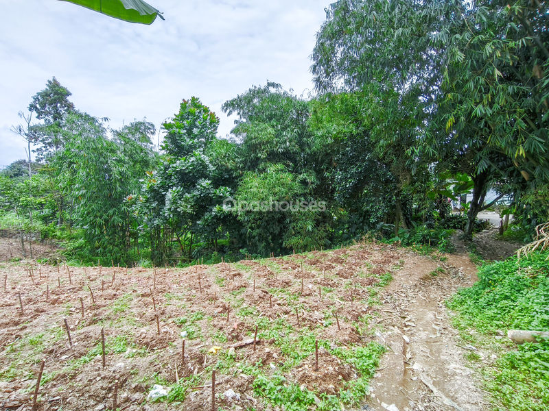 Jalan Raya Bojong Koneng