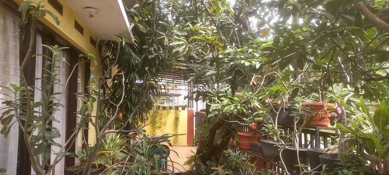Perumahan Harapan Indah Cluster Aralia