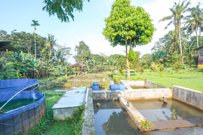 Villa Cihideung Bogor