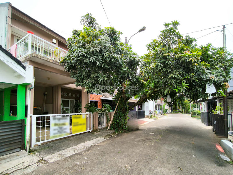Serpong Park Cluster Fluorite