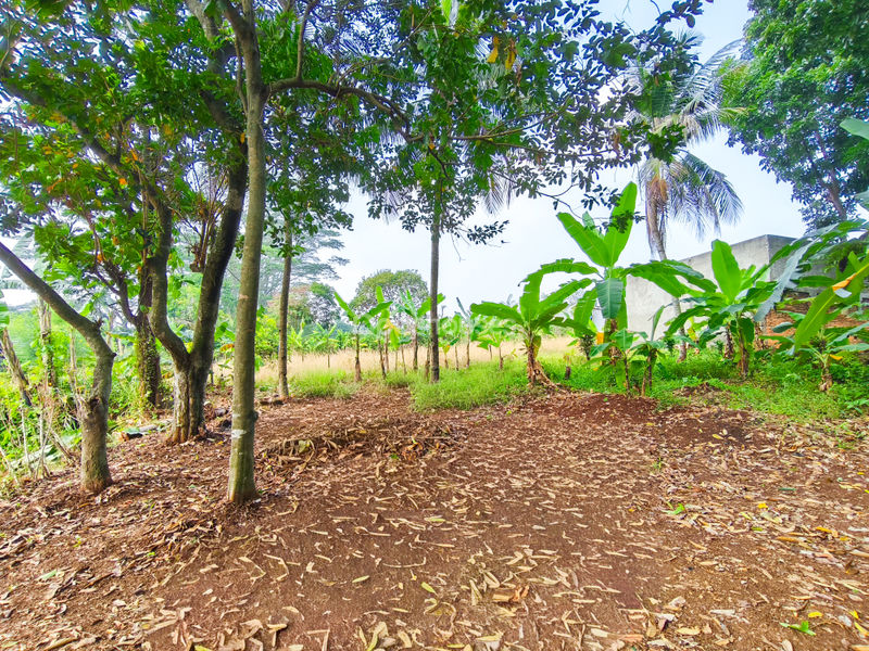 Tanah di Kp. Sawah 
