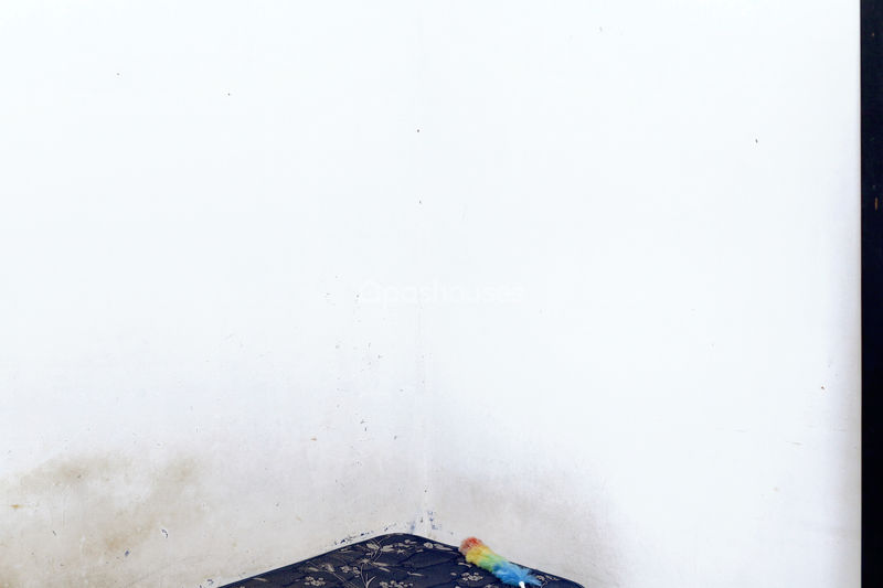 Perumahan Pakuan Regency Cluster Jayadewata
