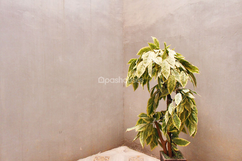 The Flower Residence III