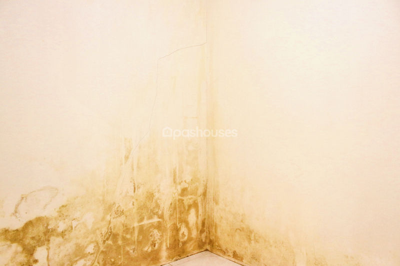 Jalan Raya Pasir Putih