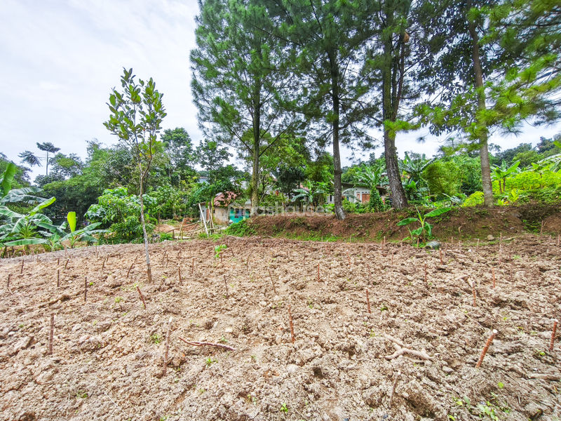 Jalan Raya Bojong Koneng