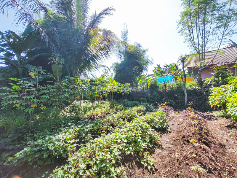 Jalan Kampung Pajeleran Cibinong