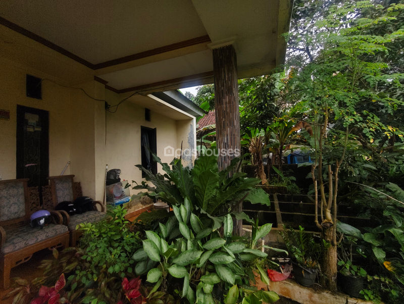 Jalan Arjuna Bogor