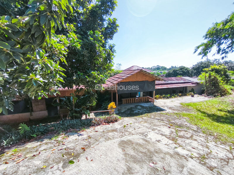 Jalan Kampung Pajeleran Cibinong