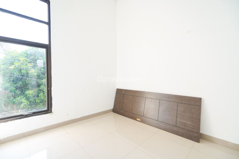 Diamond Golden Cinere