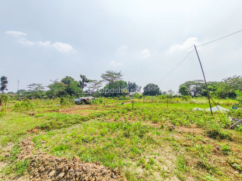 Jalan Kembang Kuning Bogor