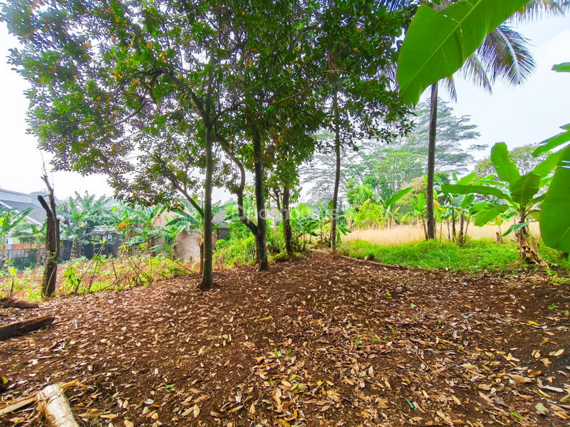 Tanah di Kp. Sawah 