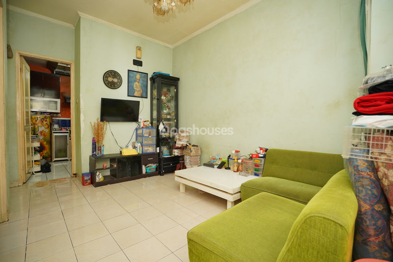 Serpong Park Cluster Fluorite
