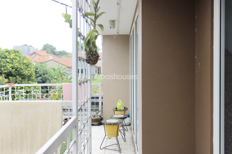 Serpong Park Cluster Fluorite