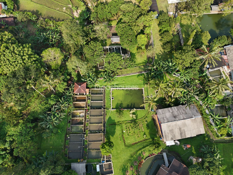 Villa Cihideung Bogor