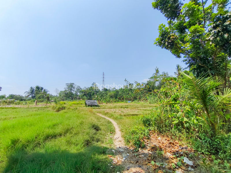 Jalan Kembang Kuning Bogor