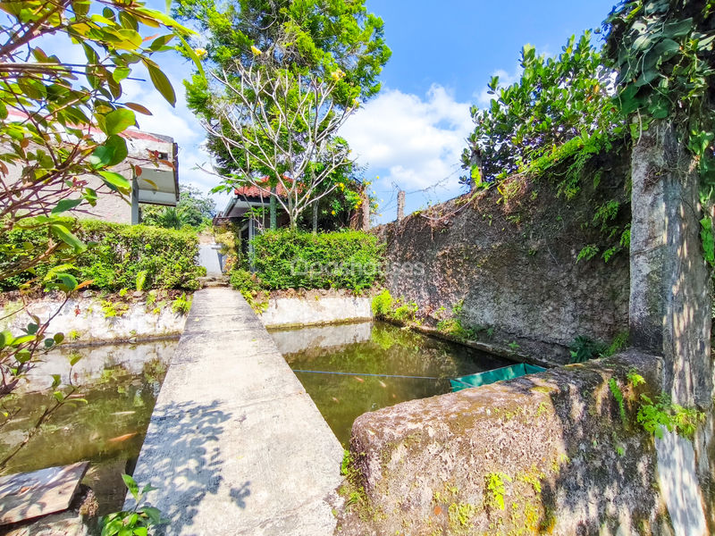 Jalan Kampung Batu Gede No.2 Bogor