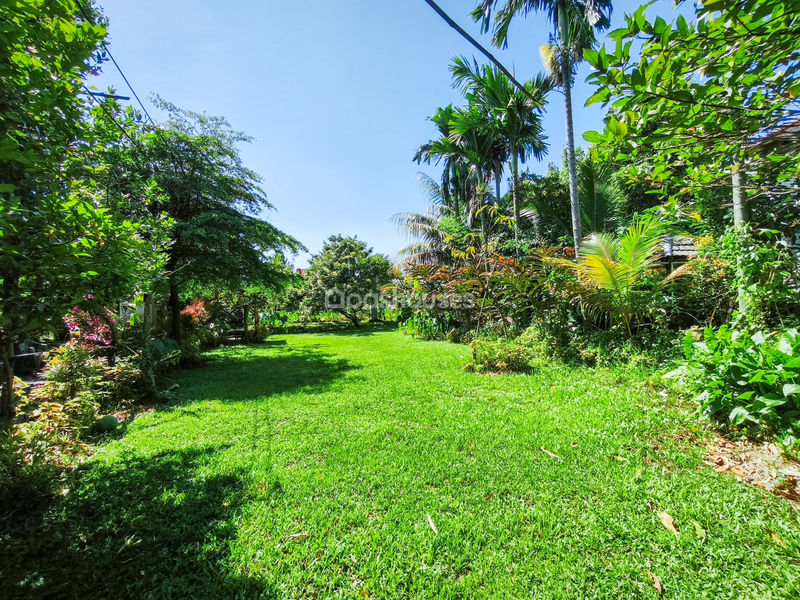 Jalan Kampung Pajeleran Cibinong