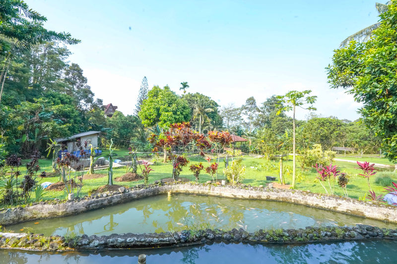 Villa Cihideung Bogor