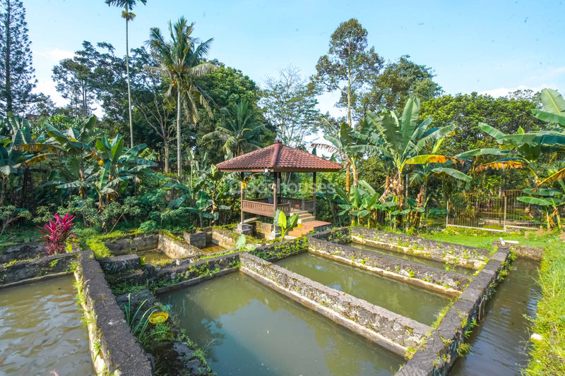 Villa Cihideung Bogor