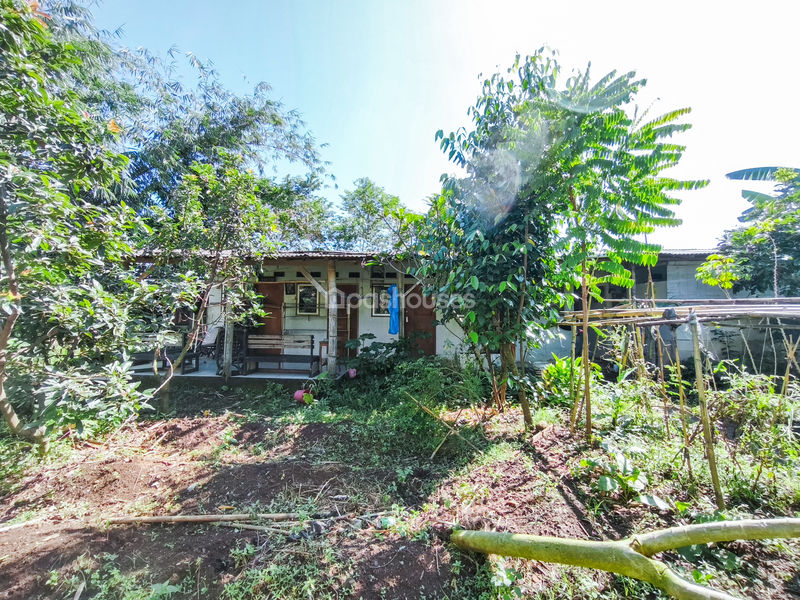 Jalan Kampung Pajeleran Cibinong