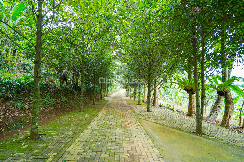 Villa Saung Ibu Bogor