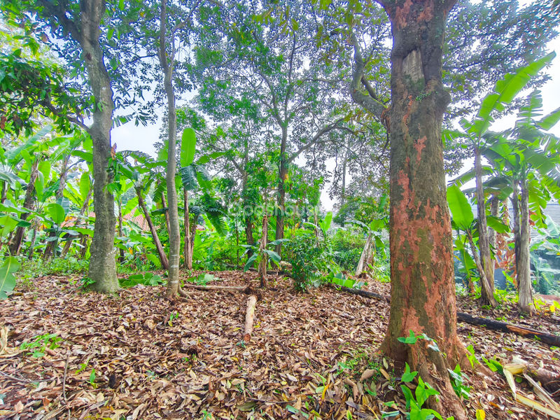 Tanah di Kp. Sawah 