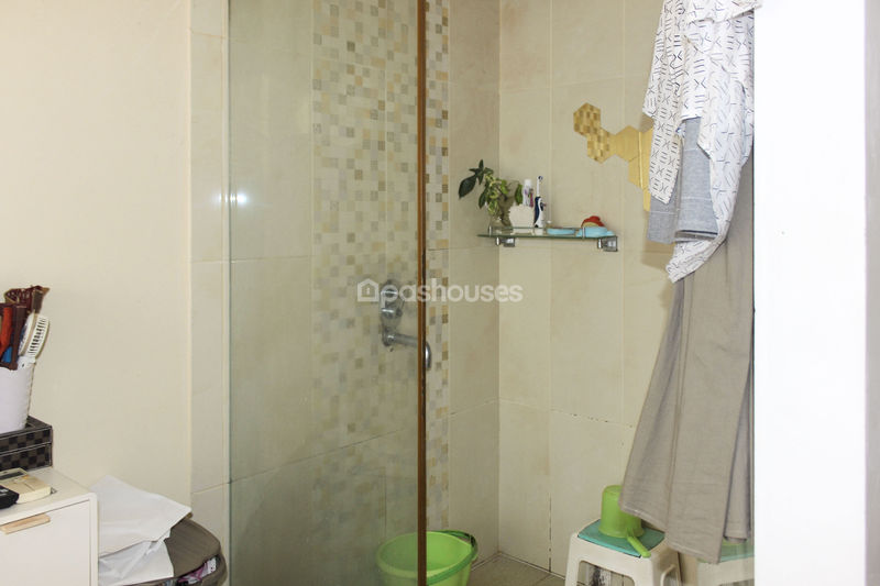Serpong Park Cluster Fluorite
