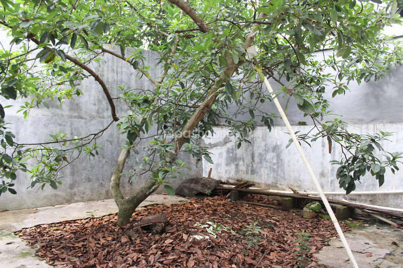 Puri Angkasa Residence